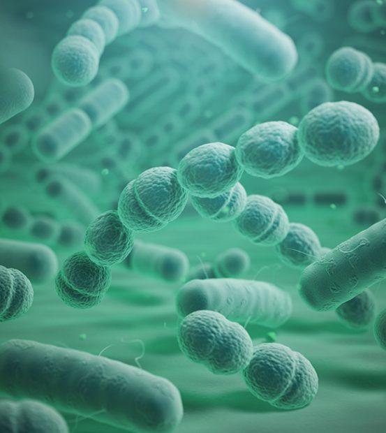Particles in Air Before Indoor Air Quality Testing Home in Naples, Fort Myers, Tampa, Sarasota, Siesta Key, and Longboat Key