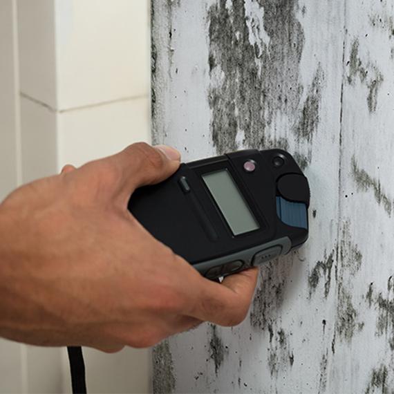 Mold Testing in Siesta Key, FL Apartment