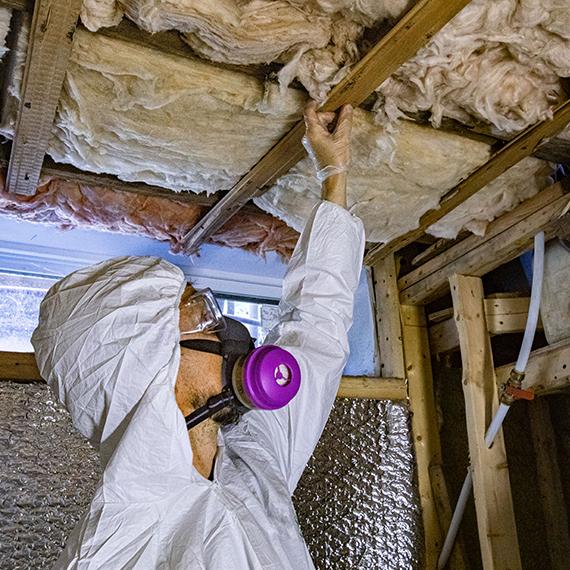 Mold Specialist Conducting Mold Inspection in Naples, FL