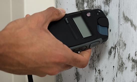 Mold Specialist Tool for Mold Inspection & Testing in Sarasota, FL