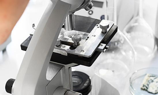 Scientist Doing Mold Testing on Siesta Key, FL Spores