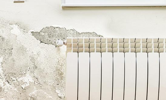 Damage from Mold in Naples, FL Home Found During Mold Inspection