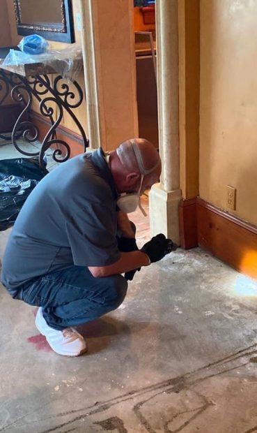 Man Performing a Mold Inspection in Tampa, Naples, Fort Myers, Longboat Key, Siesta Key, and Sarasota